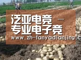 种植基地七(图1)