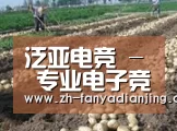 种植基地八