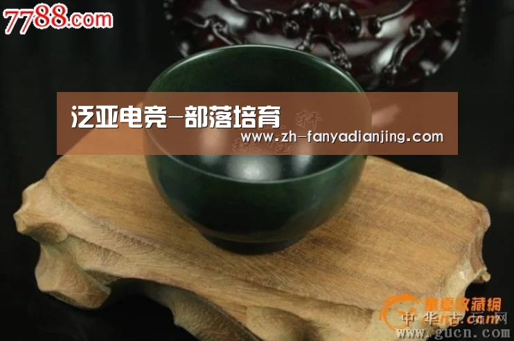 泛亚电竞