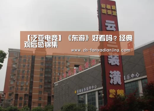 【泛亚电竞】《东游》好看吗?经典观后感锦集(图3) 泛亚电竞