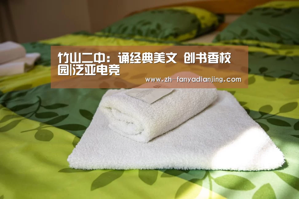 泛亚电竞