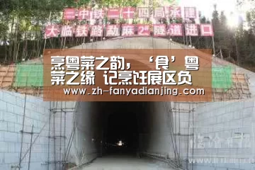 烹粤菜之韵,‘食’粤菜之缘 记烹饪展区负责人采访|泛亚电竞(图1) 泛亚电竞