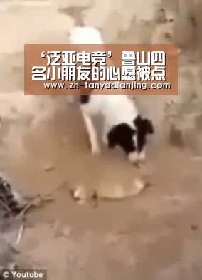 ‘泛亚电竞’鲁山四名小朋友的心愿被点亮(图1) 泛亚电竞