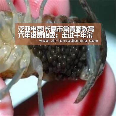 泛亚电竞