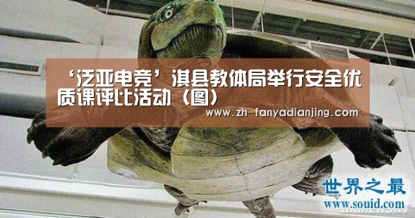 泛亚电竞