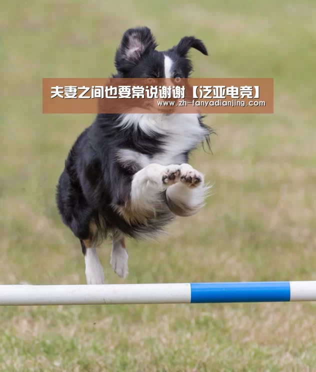 夫妻之间也要常说谢谢【泛亚电竞】(图1) 泛亚电竞