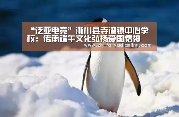 “泛亚电竞”淅川县寺湾镇中心学校:传承端午文化弘扬爱国精神(图2) 泛亚电竞