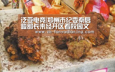 泛亚电竞|郑州市纪委秦启峻部长来经开区看校园文化建设(图2) 泛亚电竞